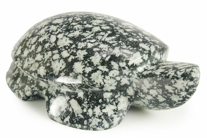 Carved Chinese Writing Rock Turtle - BC Canada #366962